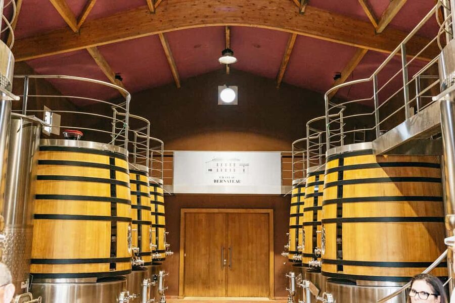 Bordeaux: St. Emilion Day Trip with Wine Tasting and Lunch - Practical advice for a better day