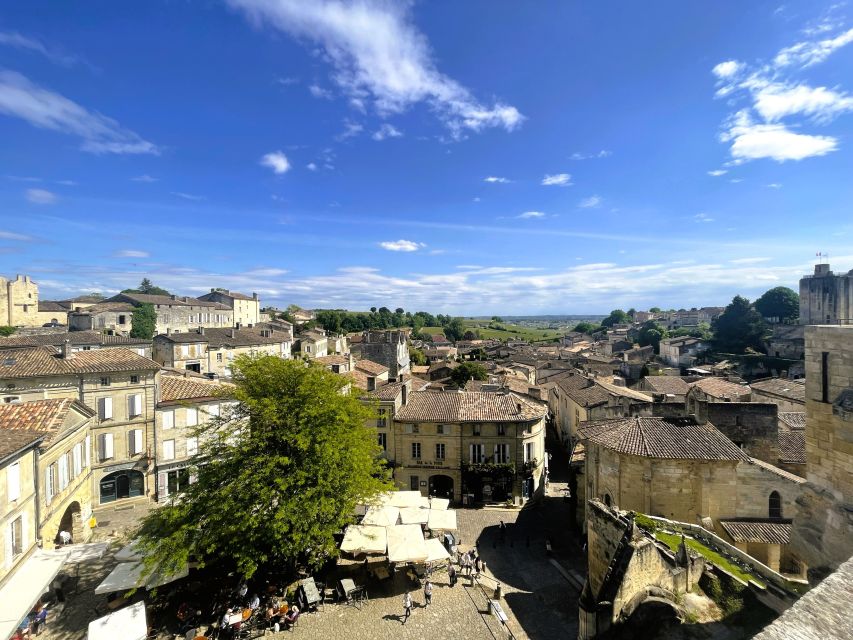 Bordeaux: St-Emilion Vineyards e-Bike Tour with Wine & Lunch - The essentials at a glance