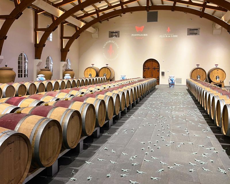 Bordeaux: St-Emilion Vineyards e-Bike Tour with Wine & Lunch - St-Émilion village after the vineyards