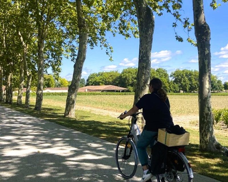 Bordeaux: St-Emilion Vineyards e-Bike Tour with Wine & Lunch - What the $222 price really covers