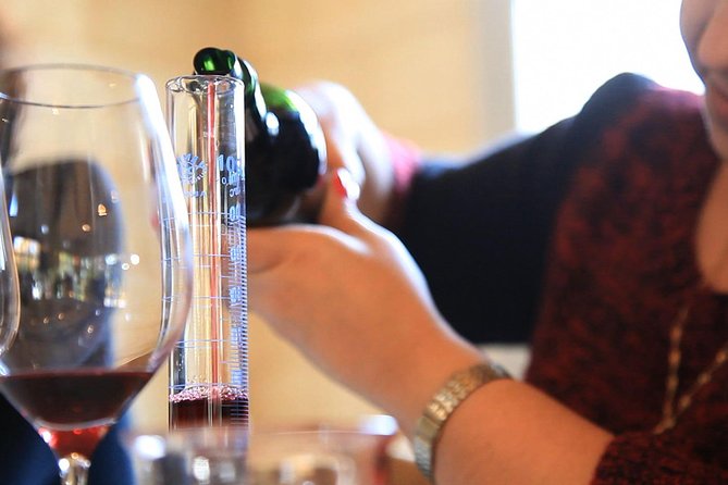 Bordeaux Super Saver Wine Tasting class and St Emilion region - The minivan ride to Saint-Émilion