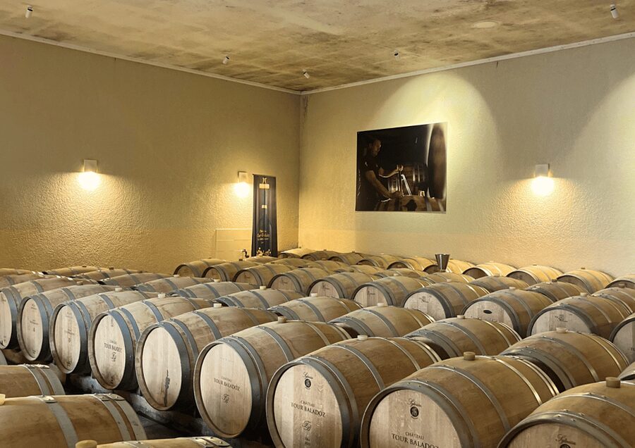 Bordeaux : Unforgettable Saint Emilion Half Day Wine Tour - Leaving Bordeaux from Quinconces Square