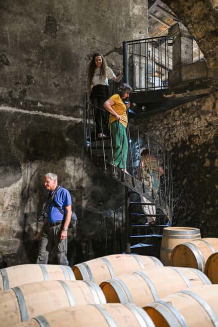 Bordeaux: Vineyards Wine Tasting Half-Day Trip - Médoc: two estates and a classic wine route