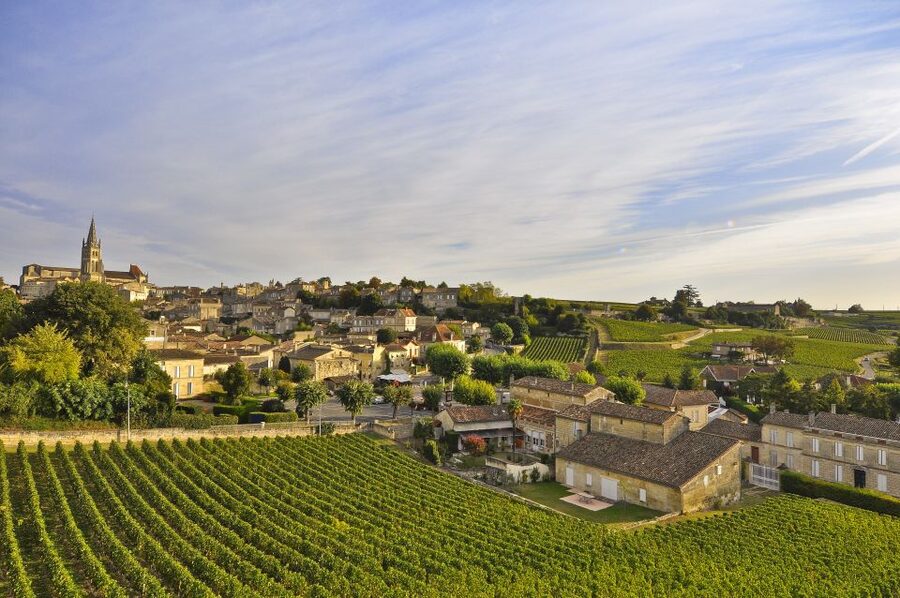 Bordeaux: Vineyards Wine Tasting Half-Day Trip - Graves and Sauternais: two appellations in one afternoon