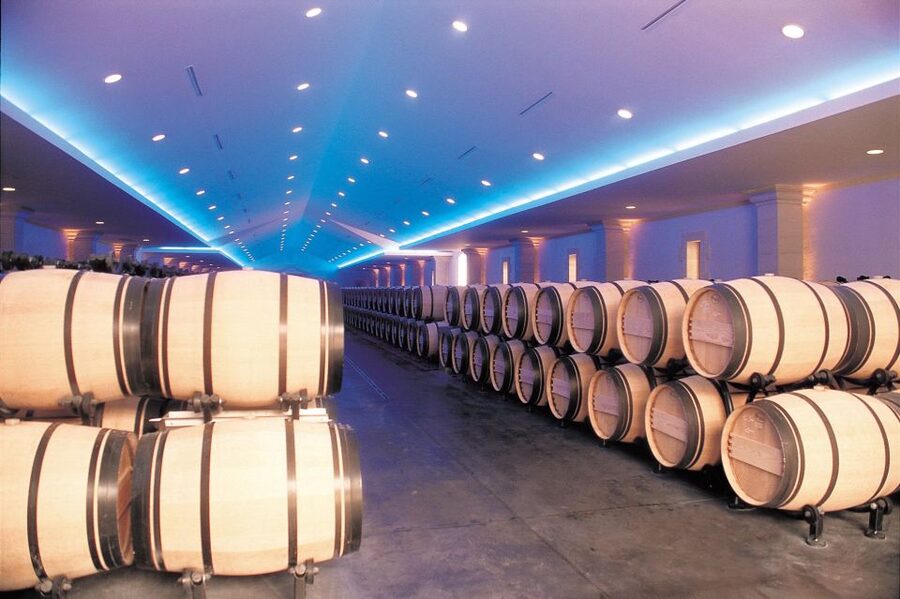 Bordeaux: Vineyards Wine Tasting Half-Day Trip - Wine tastings: useful comparisons, small pours