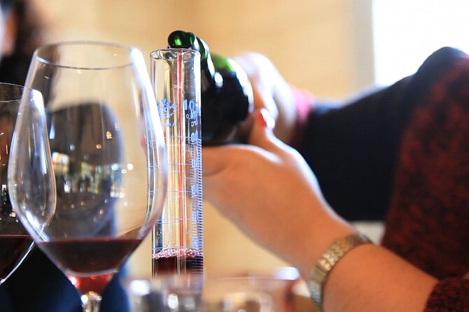 Bordeaux Wine Masterclass: Blending workshop with appetizer - Is $54.42 a fair price?