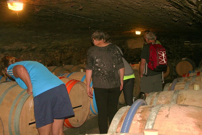 Burgundy Bike Tour with Wine Tasting from Beaune - At a glance