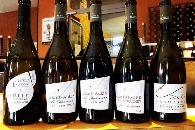Burgundy Bike Tour with Wine Tasting from Beaune - Why a bike is the right way to see Burgundy