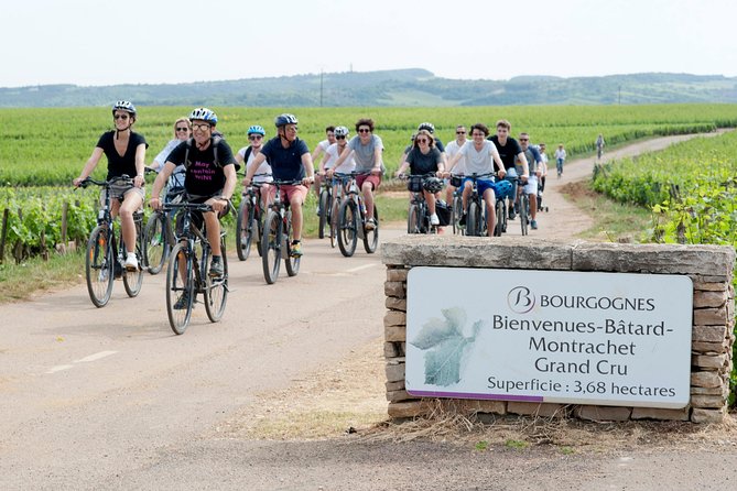 Burgundy Bike Tour with Wine Tasting from Beaune - Domaine Famille Picard and its old cellars