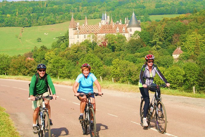 Burgundy Bike Tour with Wine Tasting from Beaune - Returning to Beaune by transfer