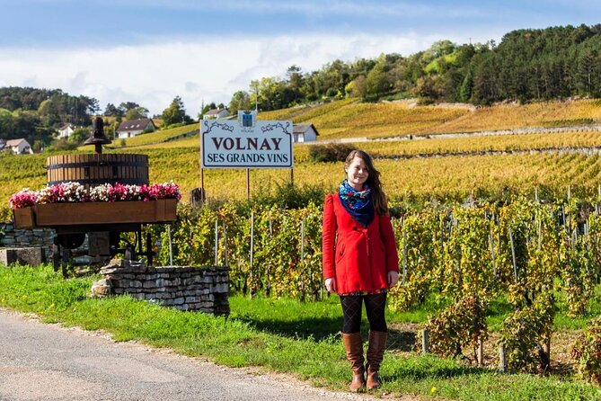 Burgundy Grand Crus Route Day Tour - 14 Wines Tastings in Domains - Key points before you book