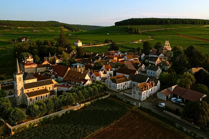 Burgundy Grand Crus Route Day Tour - 14 Wines Tastings in Domains - What you will learn about Burgundy wine