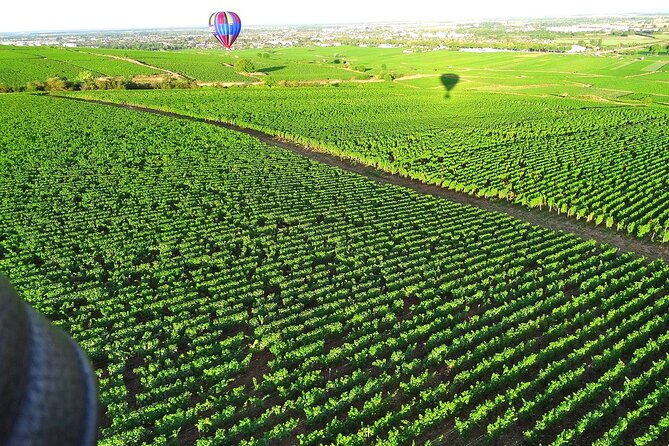 Burgundy Hot-Air Balloon Ride from Beaune - Sunrise or sunset: choosing the right departure
