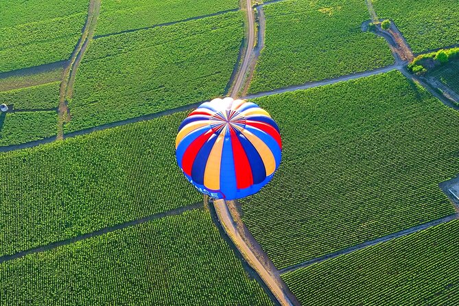 Burgundy Hot-Air Balloon Ride from Beaune - What the $315.74 price really buys