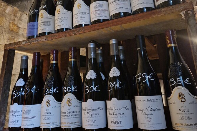 Burgundy Wines Masterclass in Dijon - A relaxed class for beginners and serious wine drinkers