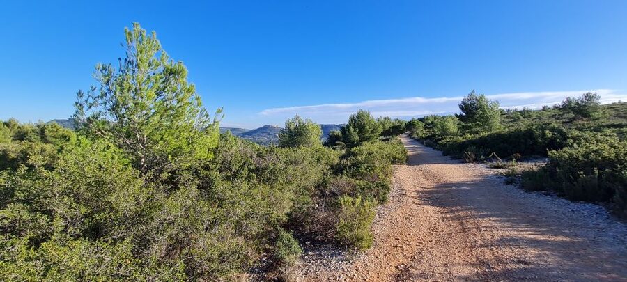 Calanques National Park: E-Mountain Bike with Virtual Guide - Cap Canaille and the wide coastal views