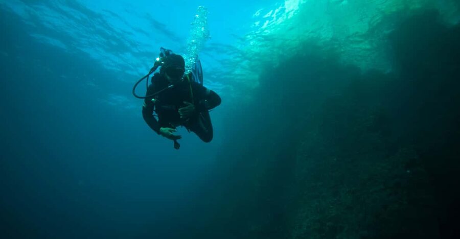 Calanques National Park Snorkel and Scuba Dive - Meeting at Port de la Pointe Rouge