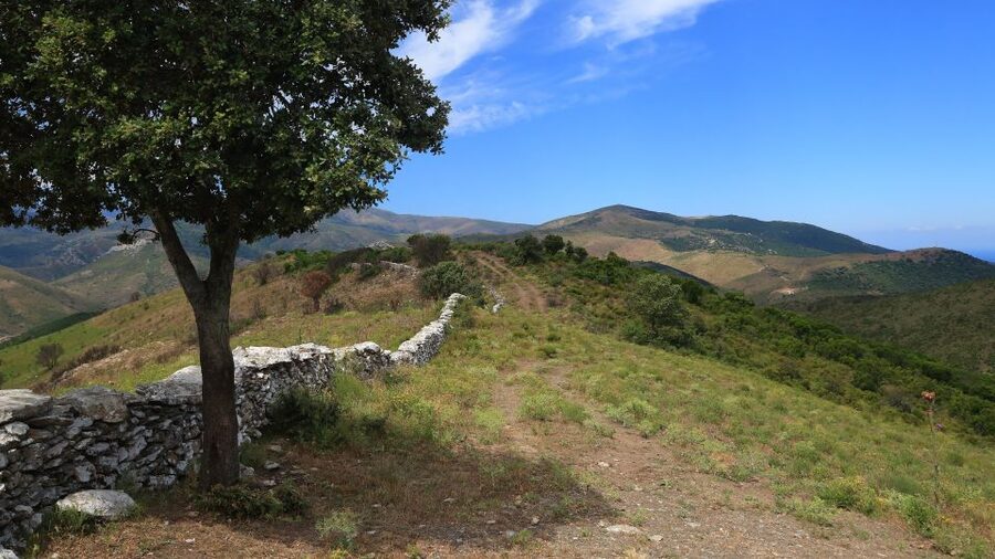 Calvi: Asco Valley 4x4 Day Tour with Guide - Key points to know before booking