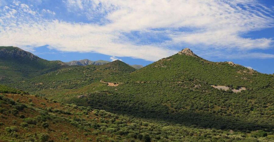 Calvi: Asco Valley 4x4 Day Tour with Guide - Leaving Calvi for the Asco Valley