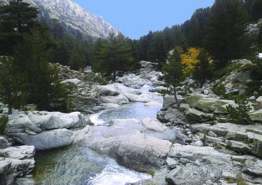 Calvi: Asco Valley 4x4 Day Tour with Guide - What the 4x4 ride is really like