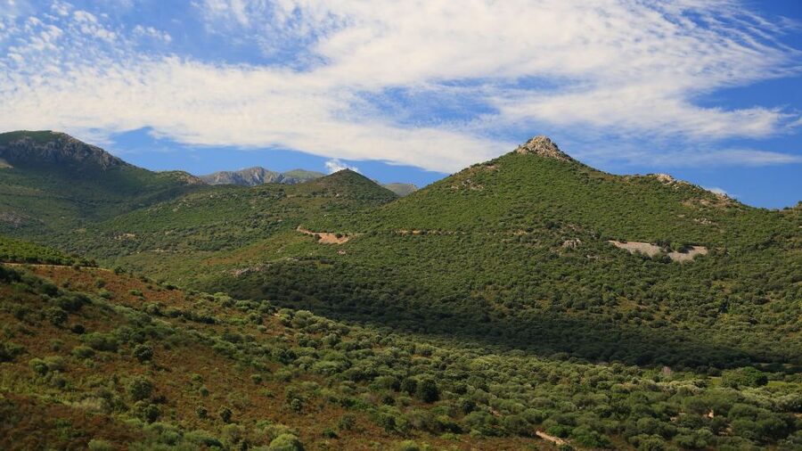 Calvi: Asco Valley 4x4 Day Tour with Guide - Is $123 a fair price?