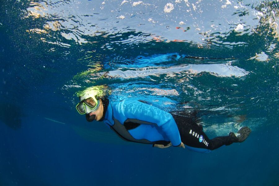 Calvi: Pointe de la Revellata Snorkeling Boat Tour - Who should book this Calvi snorkeling trip?