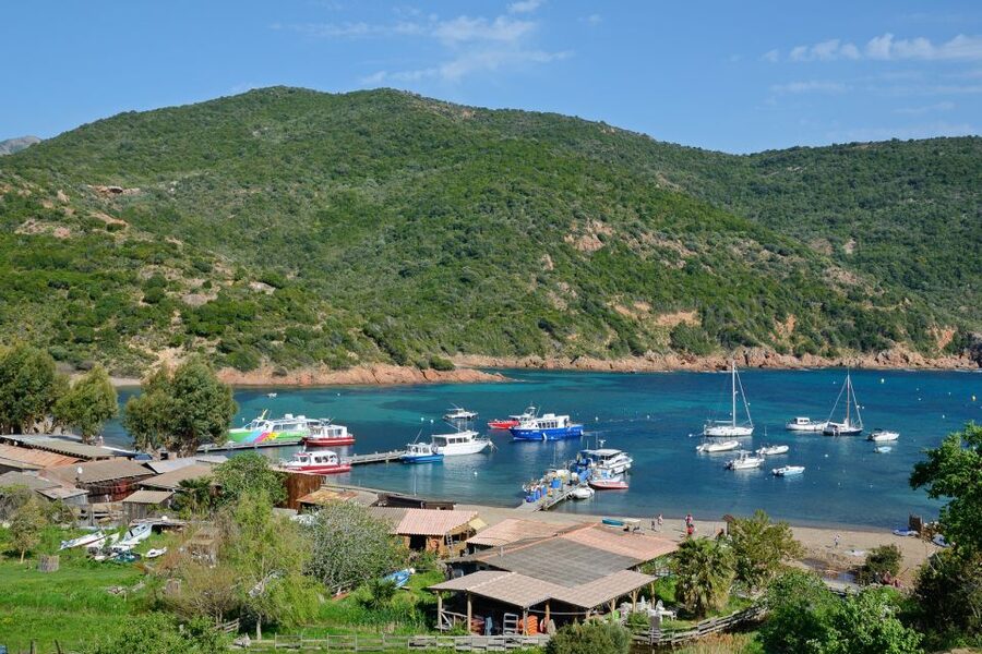 Calvi: Scandola and Girolata 6-Hour Boat Tour - Key points at a glance
