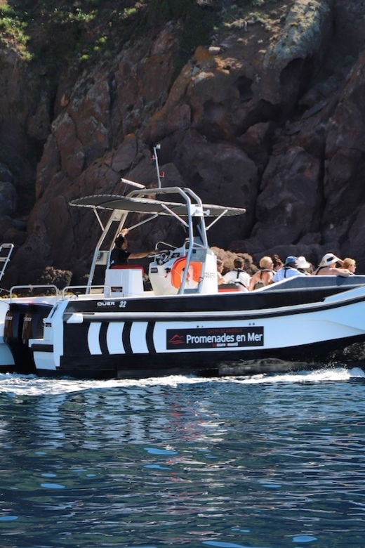 Calvi: Scandola and Girolata 6-Hour Boat Tour - Setting off from Calvi’s port
