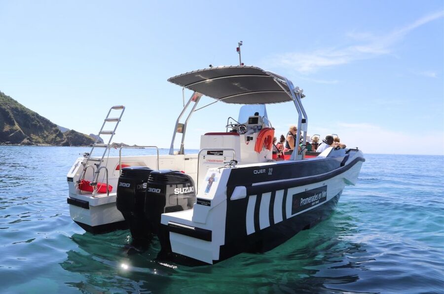 Calvi: Scandola and Girolata 6-Hour Boat Tour - Is $135 a fair price?