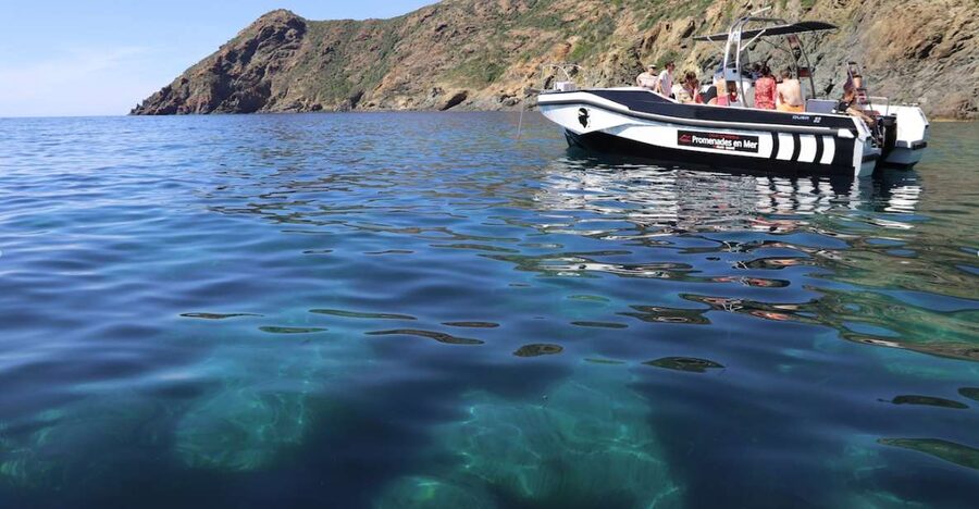 Calvi: Scandola and Piana Guided Boat Tour - What to bring for five hours at sea