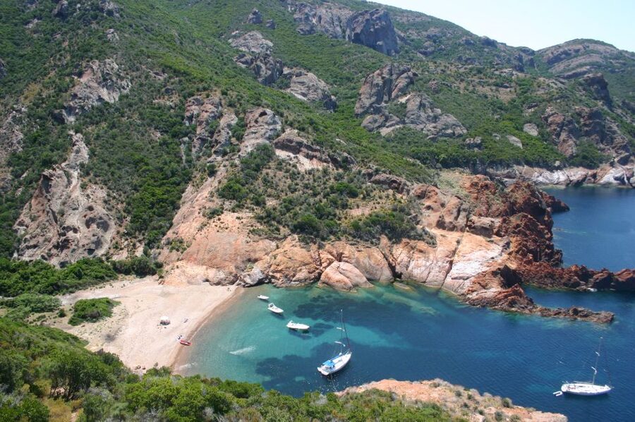 Calvi to Scandola: 4-Hour Boat Tour - Setting out from Calvi’s marina
