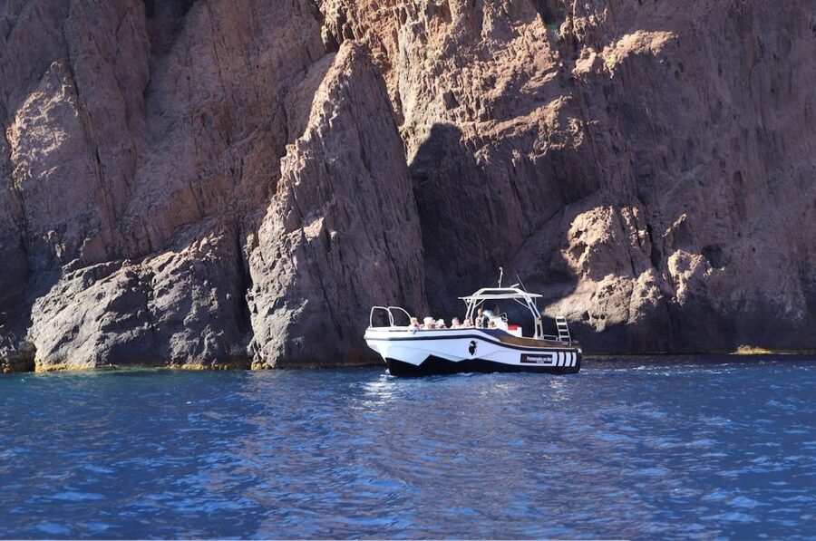 Calvi to Scandola: 4-Hour Boat Tour - The swim stop and clear water