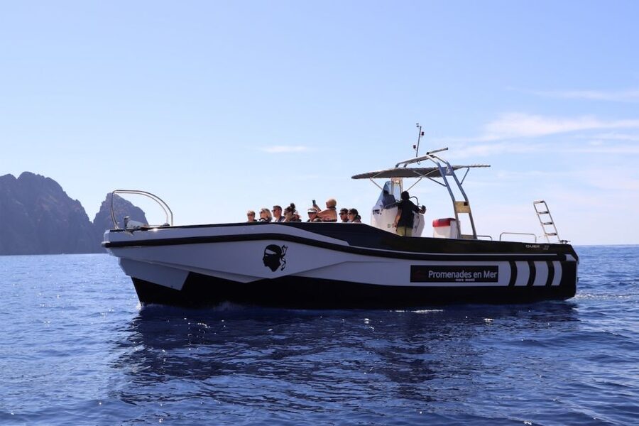 Calvi to Scandola: 4-Hour Boat Tour - Price, comfort, and overall value
