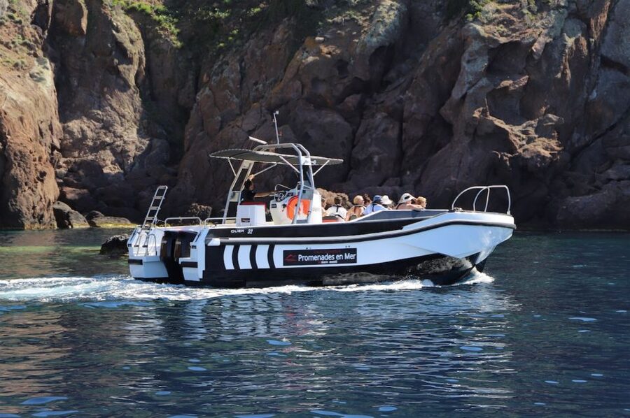 Calvi to Scandola: 4-Hour Boat Tour - Who should book this boat tour?