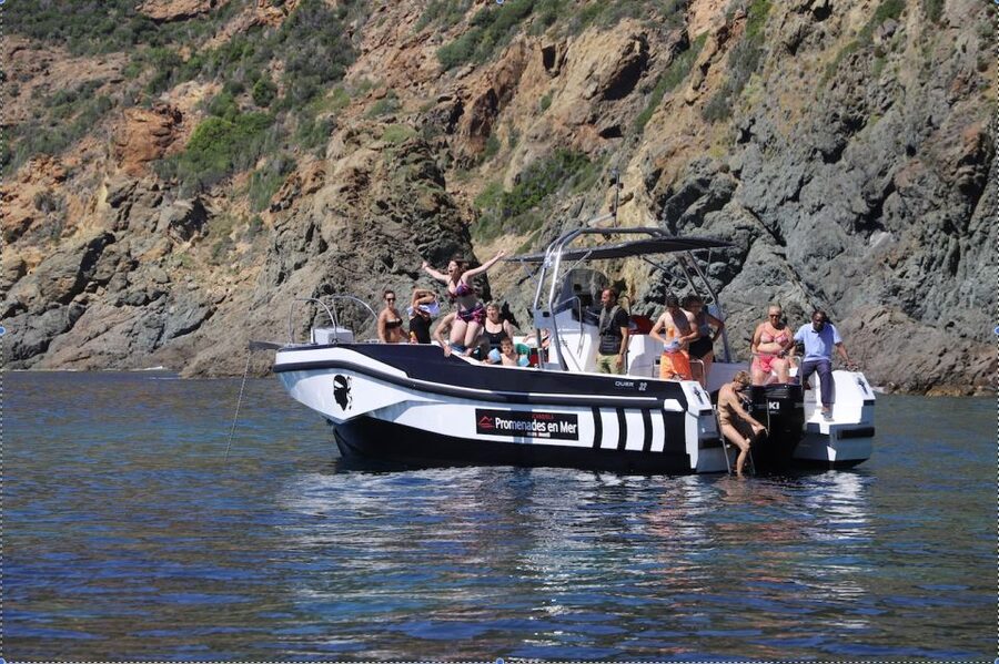 Calvi to Scandola: 4-Hour Boat Tour - What to pack for the four hours