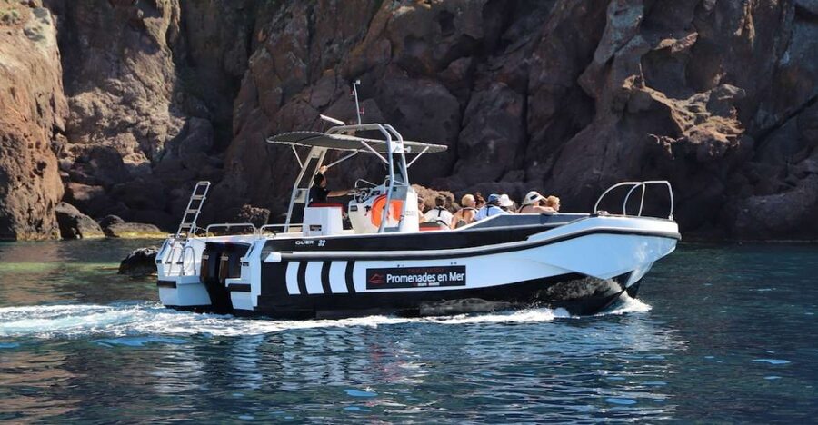 Calvi to Scandola: 4-Hour Boat Tour - The coast from Calvi to the reserve