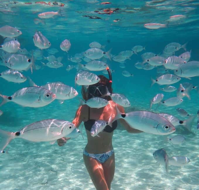 Calvi: Underwater journey at the edge of a natural reserve - One hour above Corsica’s underwater world