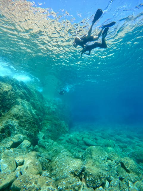 Calvi: Underwater journey at the edge of a natural reserve - Who should book this outing