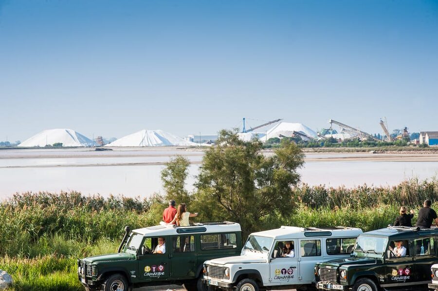 Camargue: Half-Day 4x4 Guided Safari Adventure - How the 210-minute schedule feels