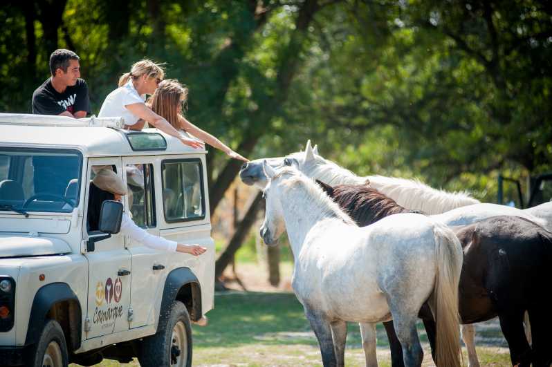 Camargue: Half-Day 4x4 Guided Safari Adventure - Starting at the breeding ranch
