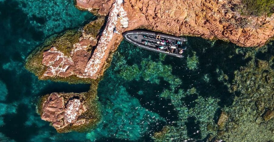 Cannes: 2.5-Hour Esterel Calanques Boat Excursion - Key points at a glance