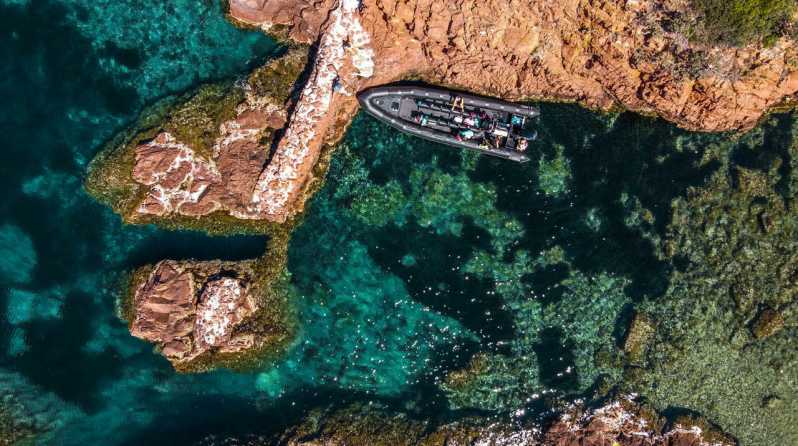 Cannes: 2.5-Hour Esterel Calanques Boat Excursion - The first five minutes: safety and seating