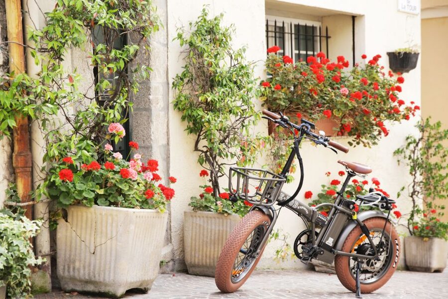 Cannes 2-Hour E-bike Tour - Who Should Book This Ride?