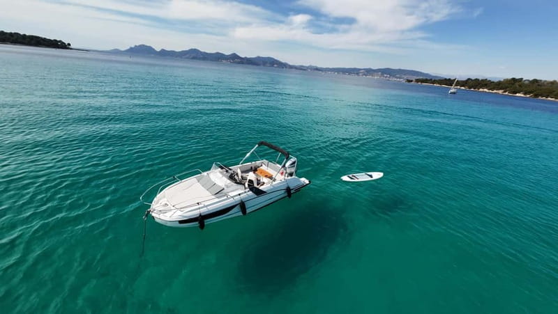 Cannes: Lérins Islands Private Boat Tour - Sainte-Marguerite Island and its clear coves