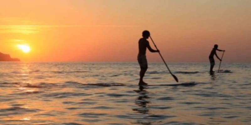 Cannes: Lérins Islands Private Boat Tour - Saint-Honorat Island brings a change of pace