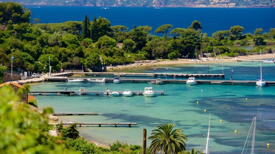 Cannes: Private Boat Trip to Lerins Islands & Cap d'Antibes - Key points before you book
