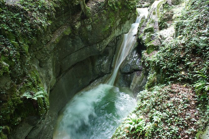 Canyoning discovery 3h in Aix les bains / Chambéry: Ternèze - Who will get the most from this outing