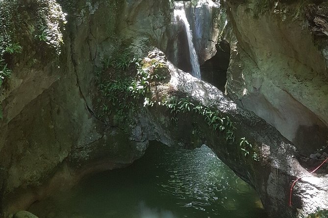 Canyoning discovery 3h in Aix les bains / Chambéry: Ternèze - Weather, swimming, and the practical catches