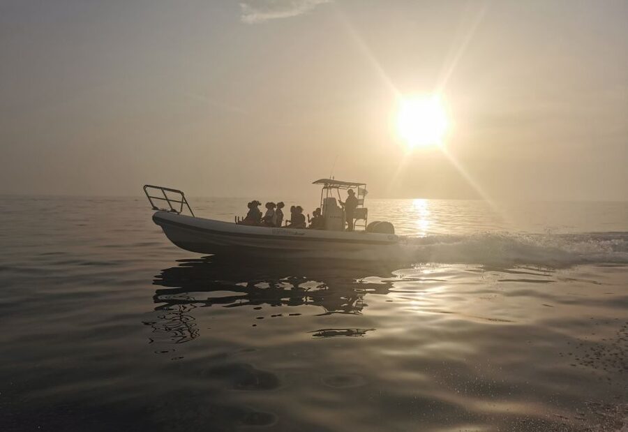 Cargèse: Calanques of Piana Capo Rosso Semi-Rigid Boat Tour - Is $58 Fair for 90 Minutes?