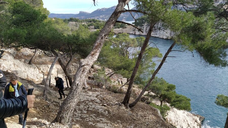 Cassis: 3 Calanques Half-Day Hiking Tour with Swimming - Port-Pin: the half-hour pause by turquoise water